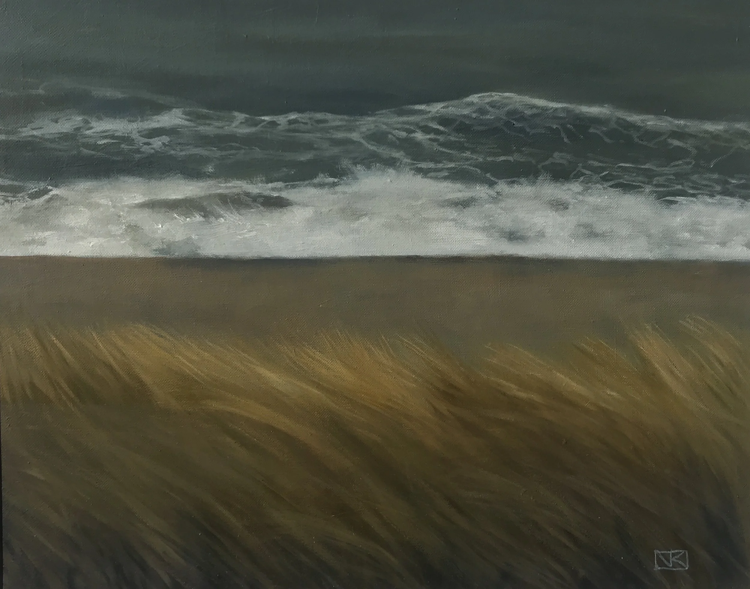 Breezy Day on Kilcoole Beach 