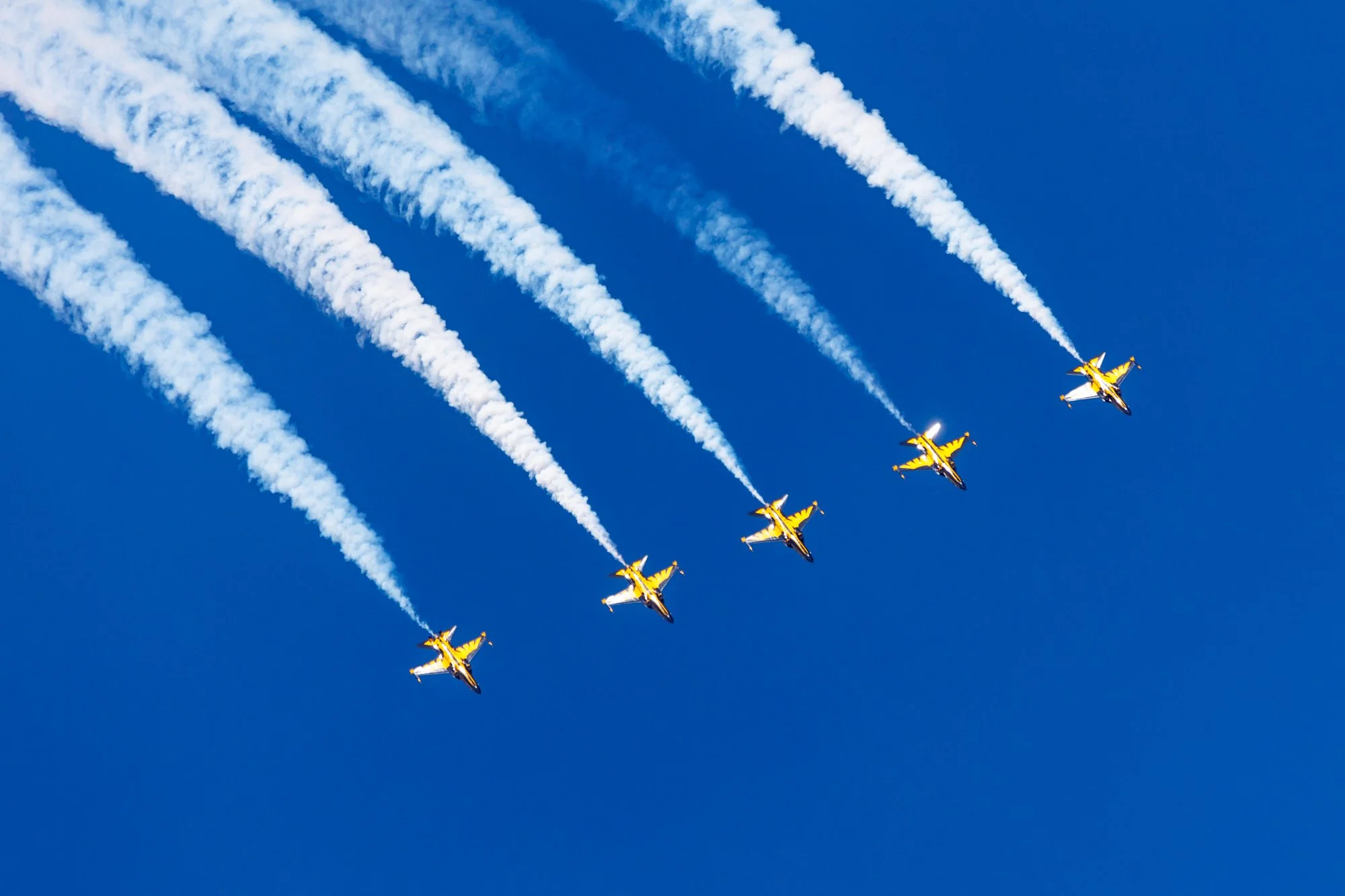 riat4web-8834.jpg