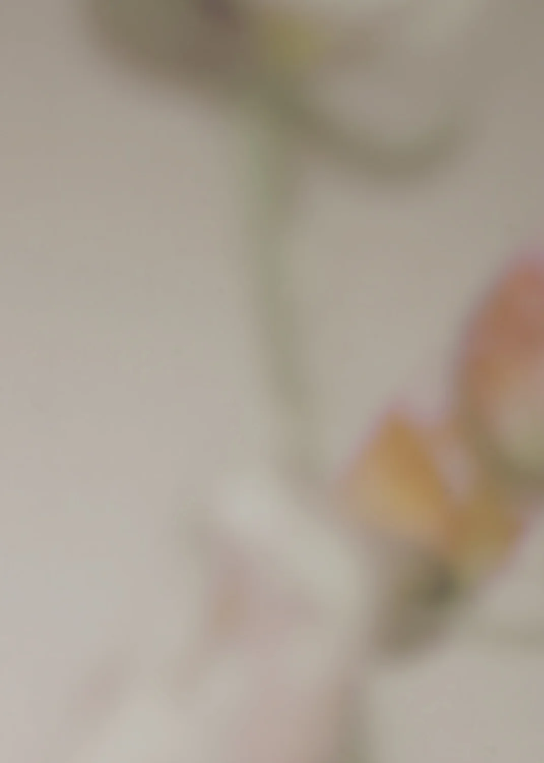 Sobiralski_Potpourri_Back.jpg