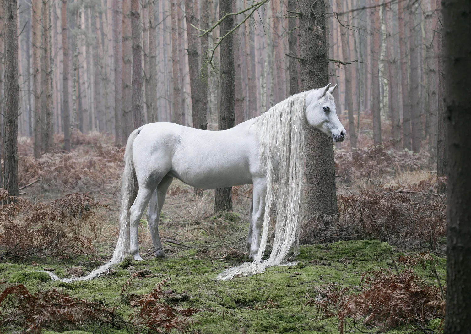  VERLORENORT 