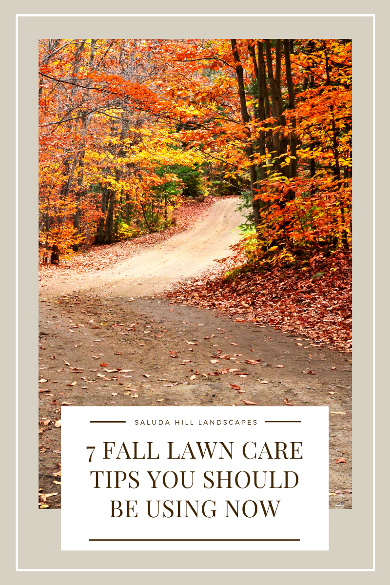 paradise outdoor living forest lake on Saluda Hill Residential Commercial Industrial Landscaping Services