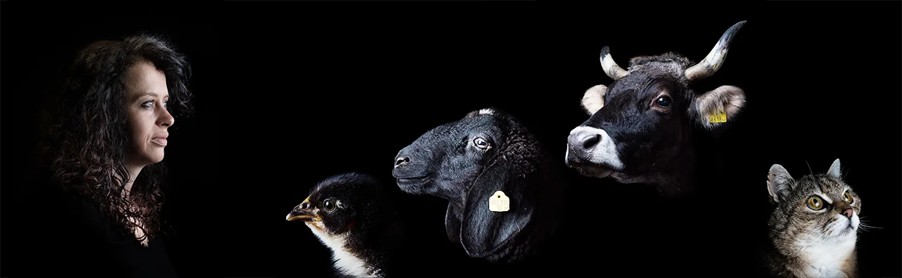 irenerapp-portrait-tiere-kuh.jpg