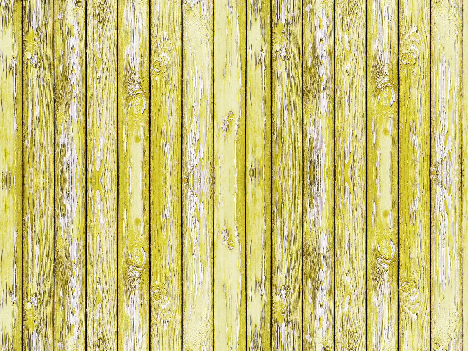 TSwebsite-2_0010_Brightness_Contrast-2.png