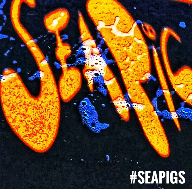 Arty SeaPigs