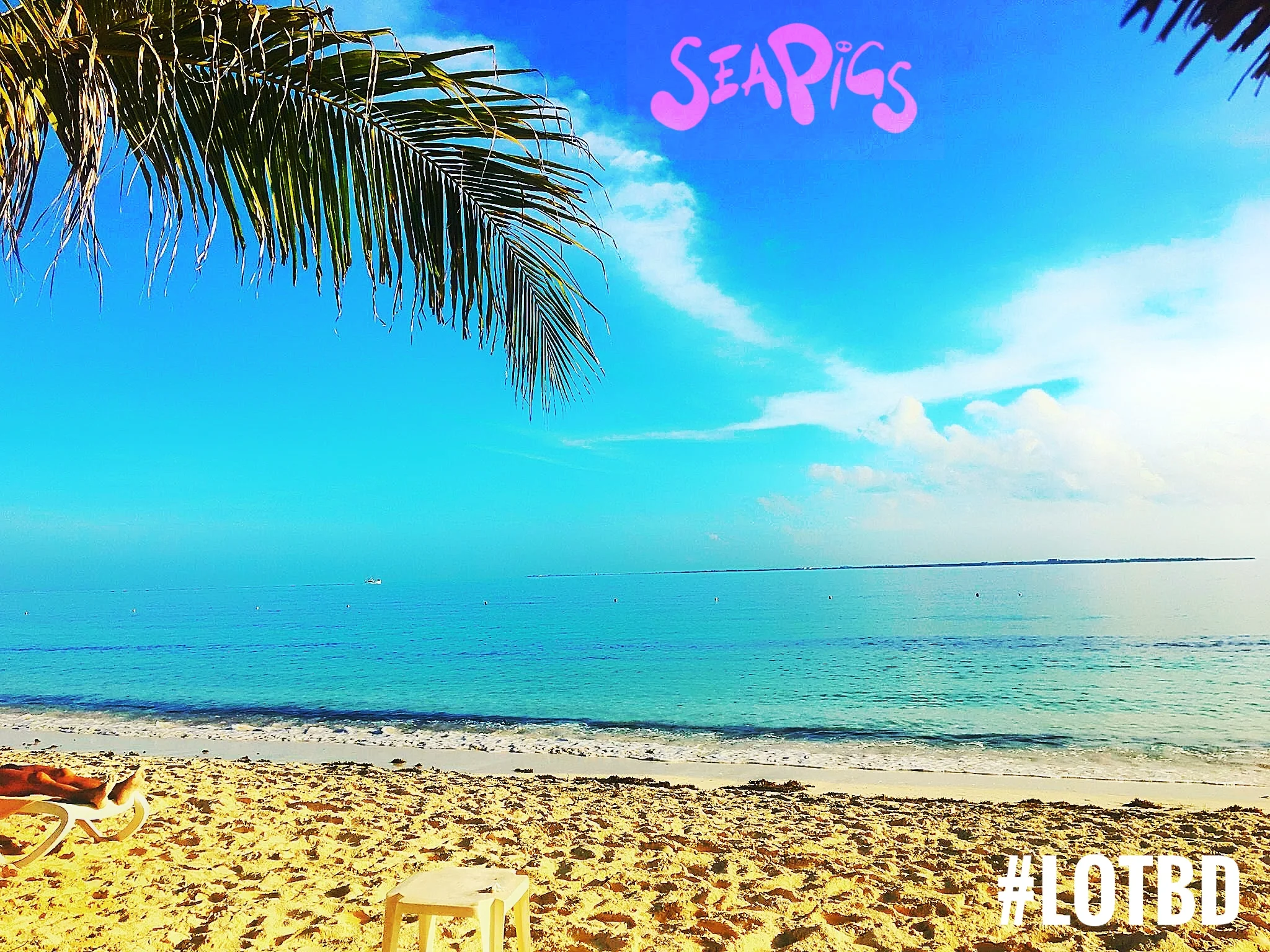 Love our oceans
