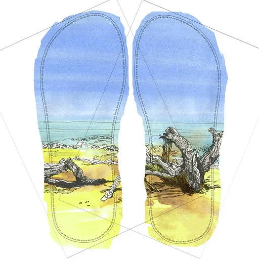 SeaPigs Drifters ‘Drift Wood - Antigua’ Design