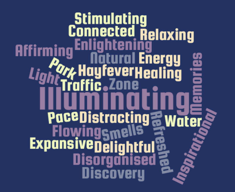 Newsletter June 2019 