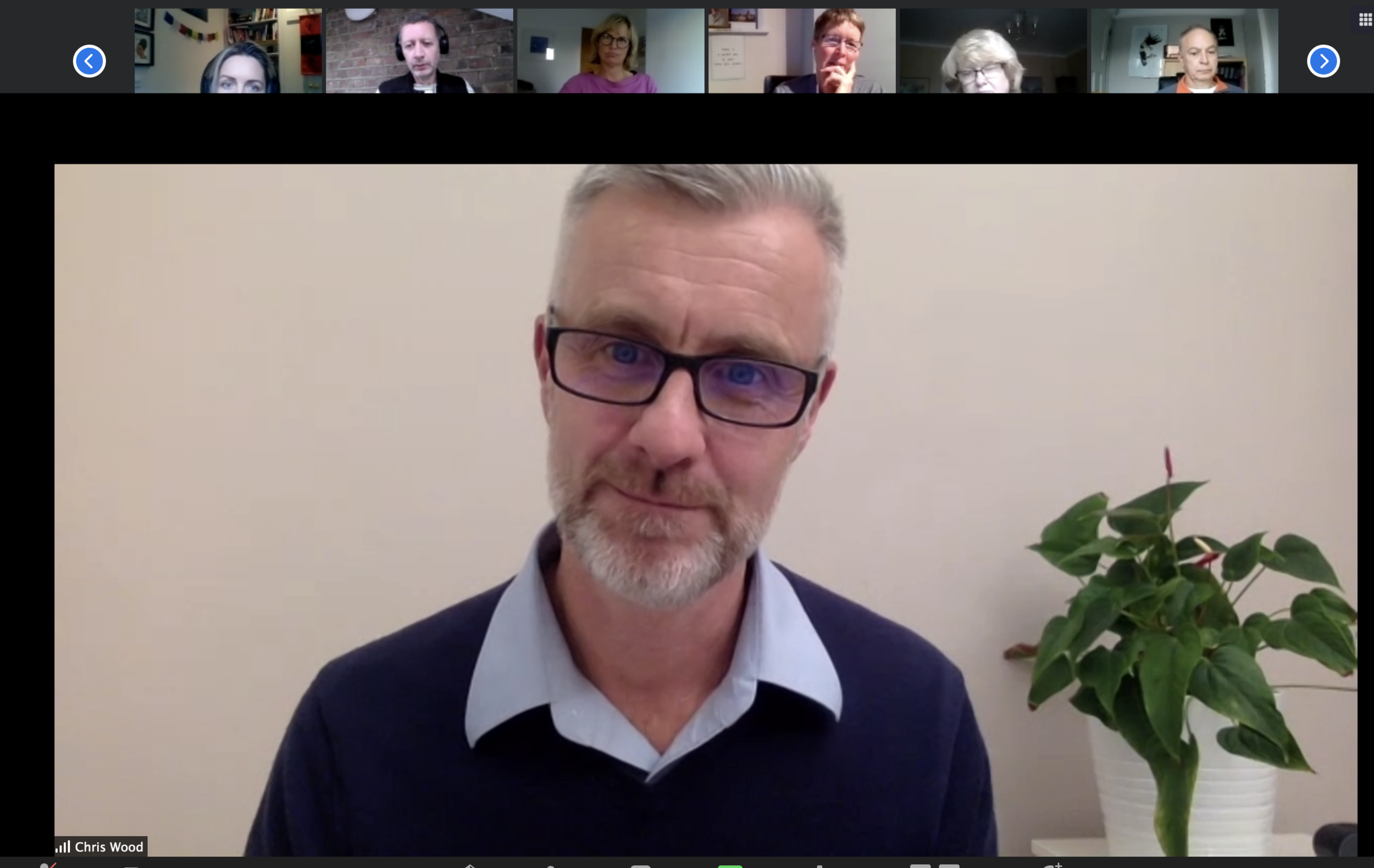 November 2020 Newsletter