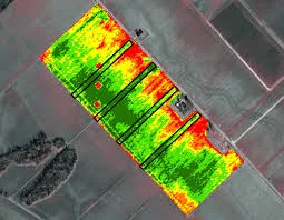 NDVI internet.jpg