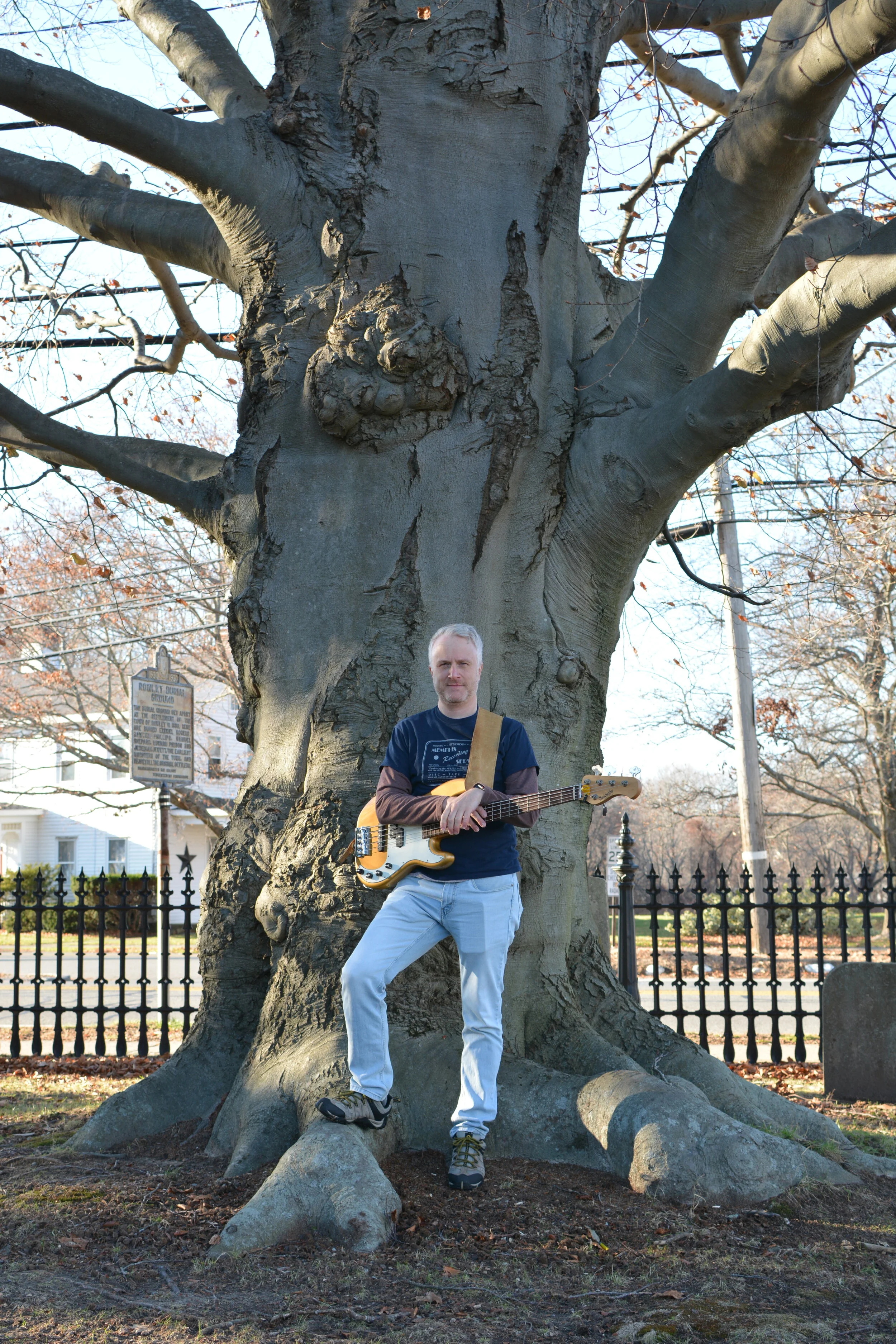 ob1 tree cemtray.JPG