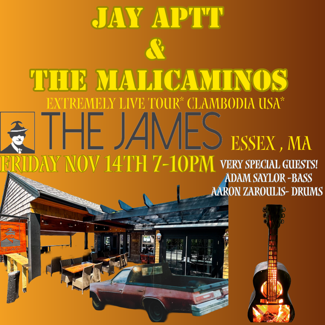 MaliCaminos @ The James-Essex Special guests Adam Saylor &amp; Aaron Zaroulis! 