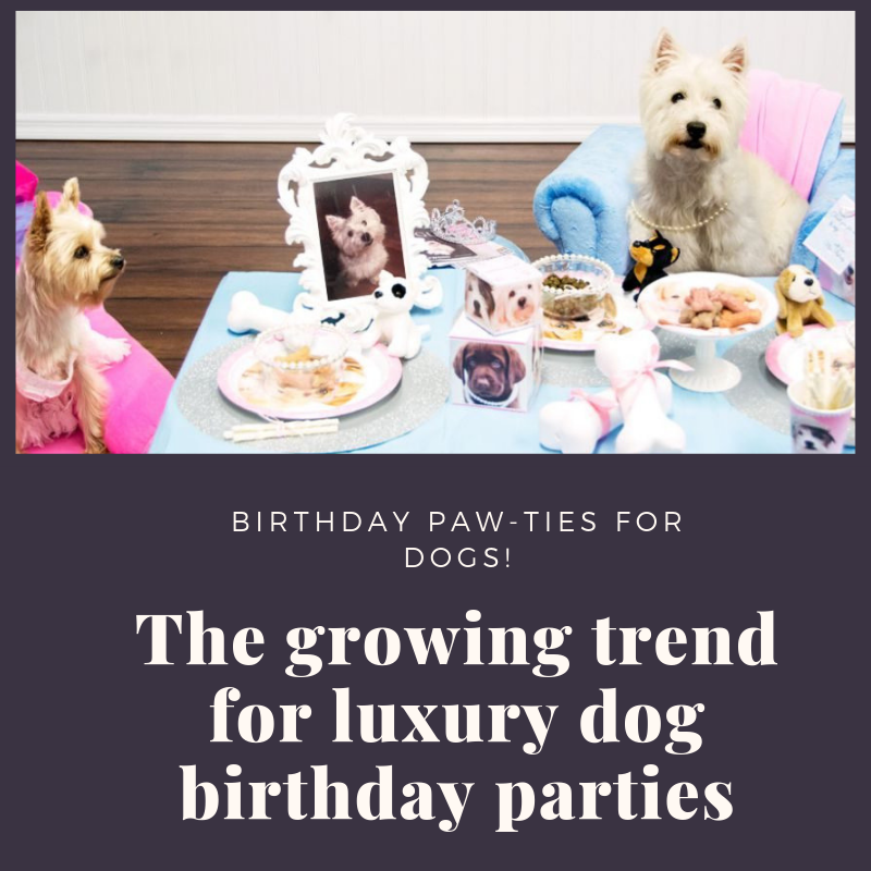 Dog Birthday parties.png