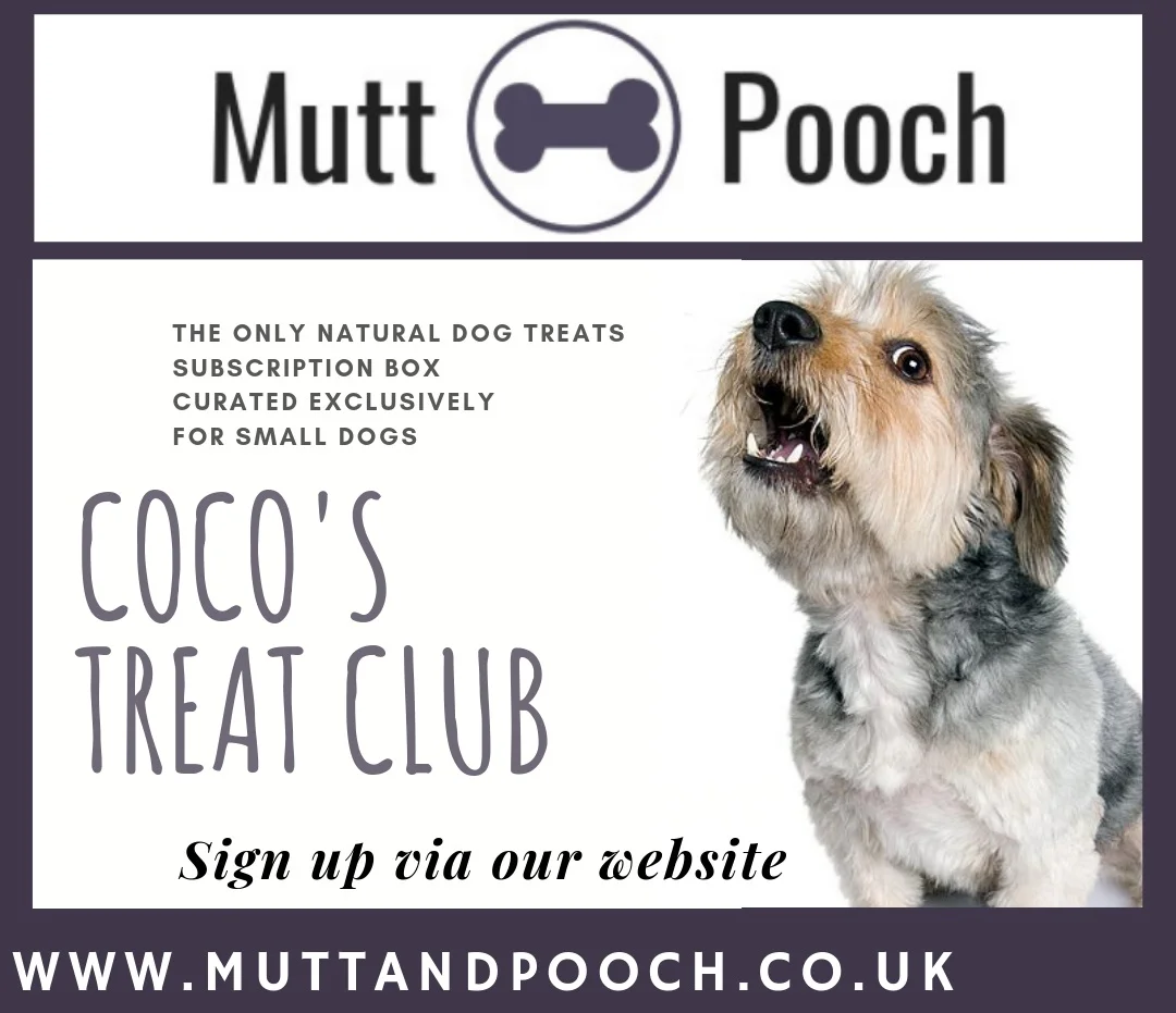 Each month your dog will receive a small box of letterbox friendly treats including a natural chew to help keep your dog’s teeth and gums clean and healthy plus 2 or 3 other handmade healthy, natural dog treats sourced from small, British artisanal businesses. You will also receive a handmade dog grooming or doggie bathtime product!