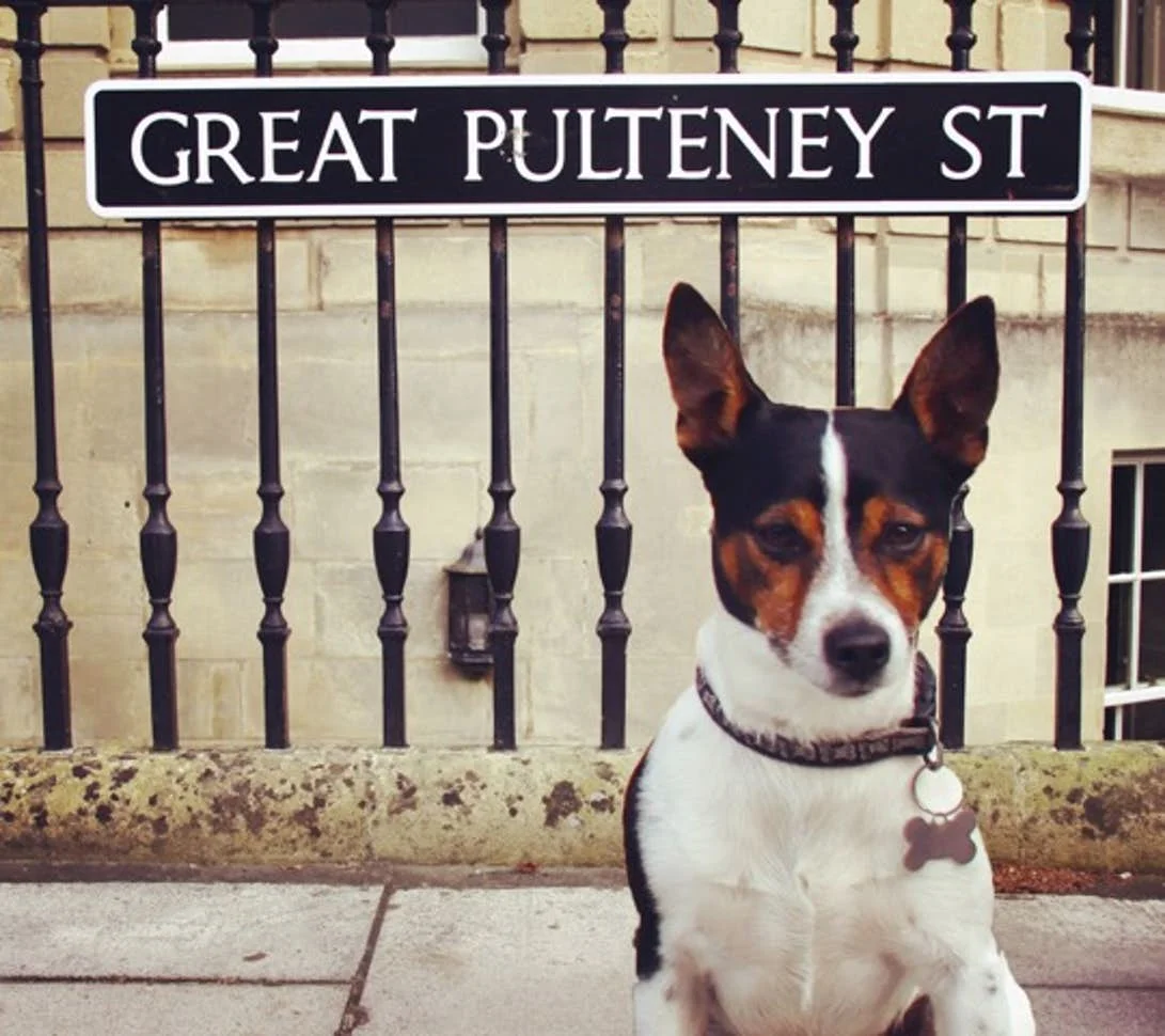 A happy guest at No 15, Great Pulteney, Bath