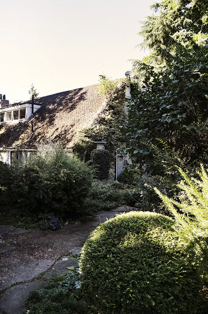 gibberd_s.jpg