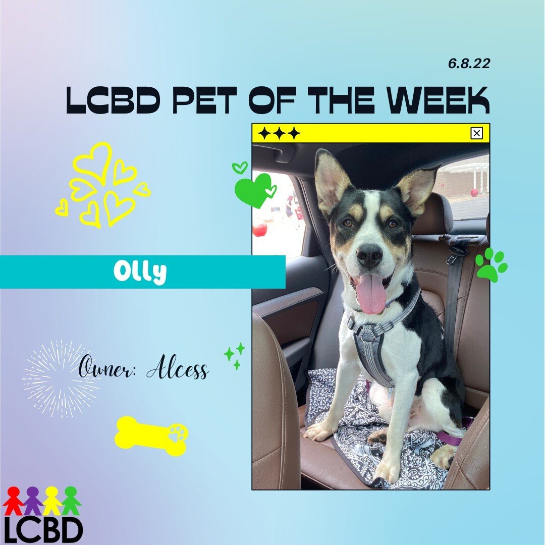 Meet the LCBD Pet of the Week, Olly! Olly is a mixed breed dog who was recently adopted by research assistant, Alcess. Olly loves to go on walks, lick peanut butter off of spoons, and chew on bones. He is around 3 years old and very sweet! 🐶💜