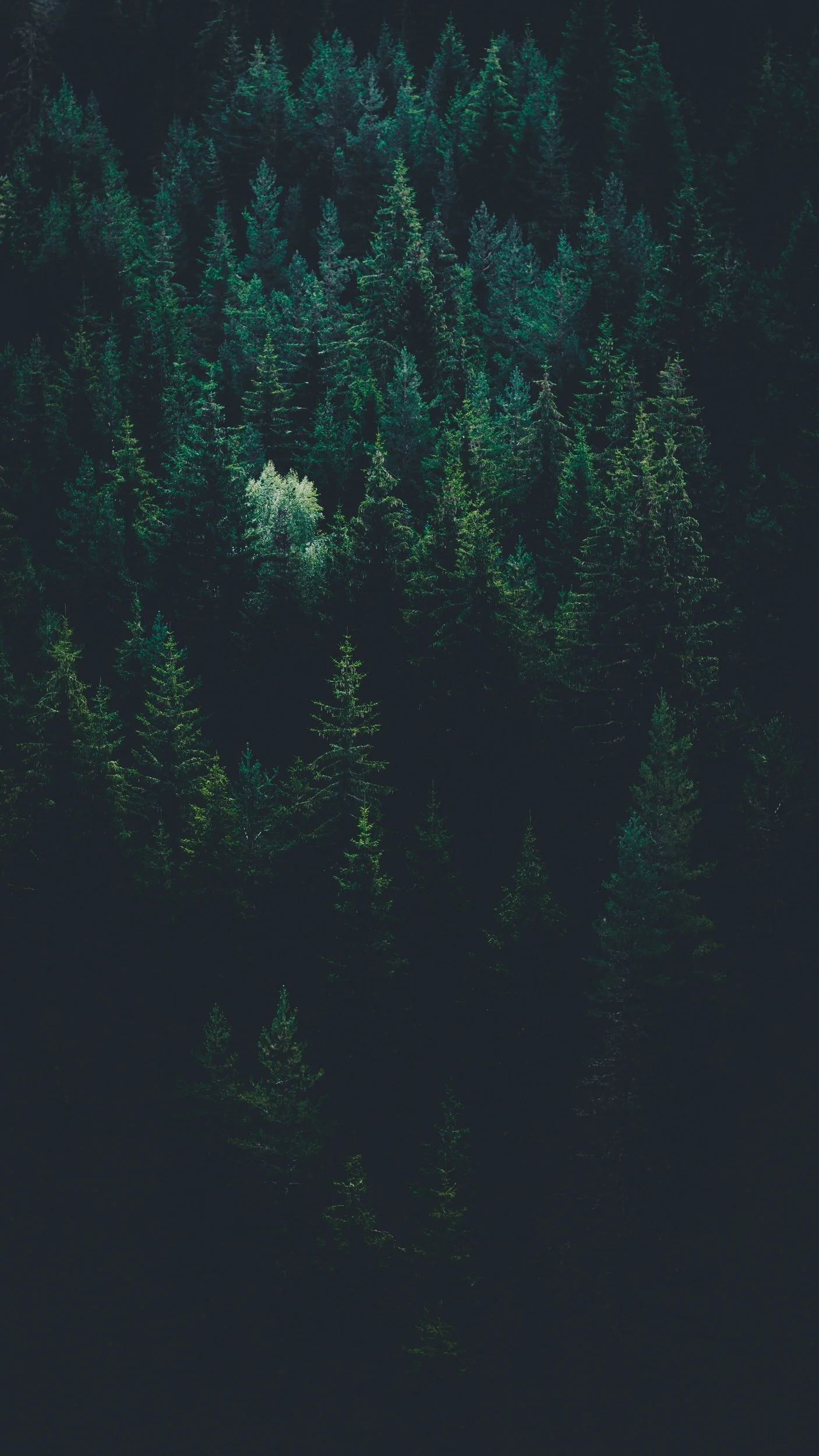 unsplash-image-LPKk3wtkC-g.jpg