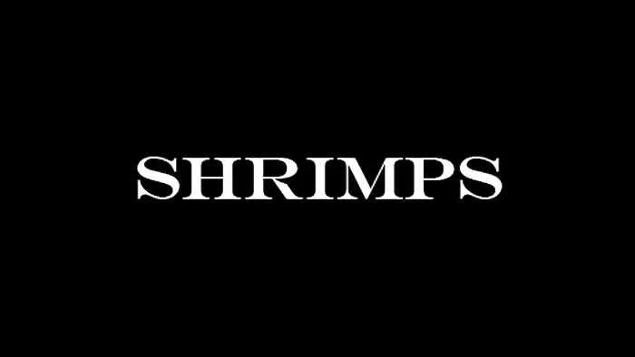Shrimps.jpg