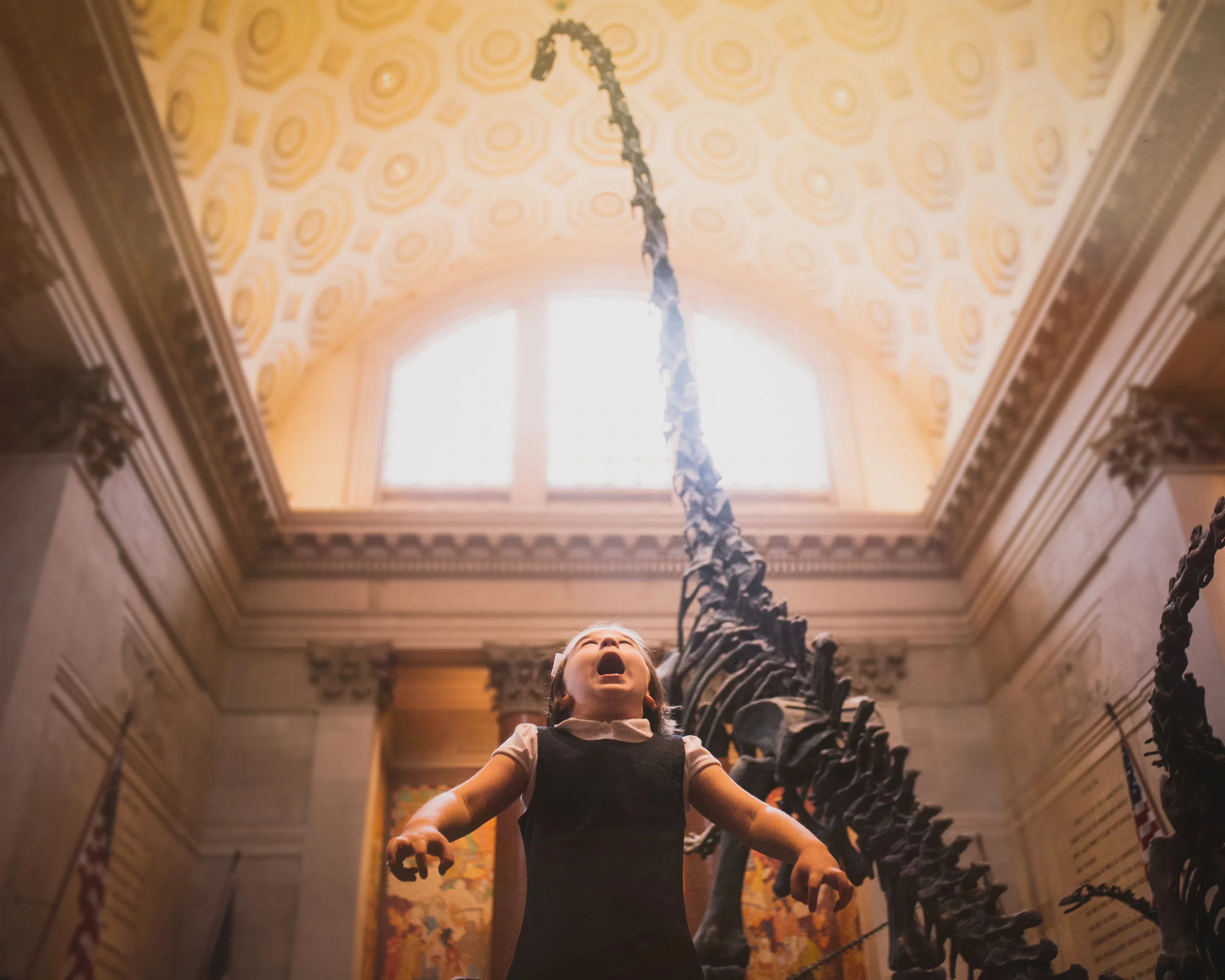 don'tloseyourdinosaurjanefoley.jpg