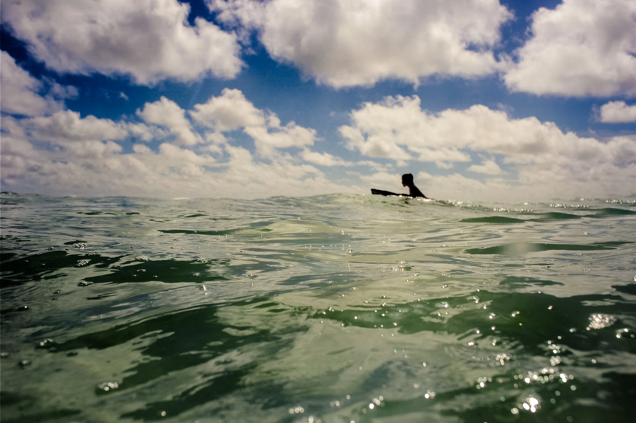 DSC_8752-Edit.jpg