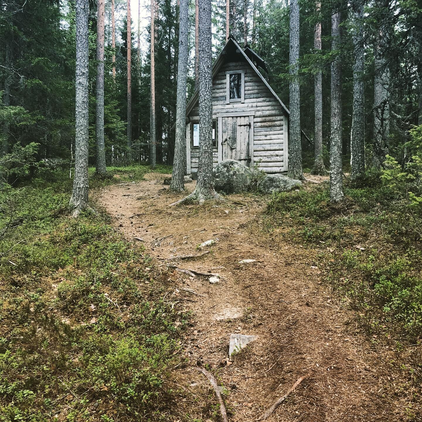 Suositus helpoksi patikointireitiksi Soinissa: Hermanninpolku! Tämän voit hyvin patikoida myös lasten kanssa: reittivaihtoehdot ovat 1,2 km ja n. 5 km. Reitti on paitsi helppo, myös vaihteleva ja mielenkiintoinen. Bongaa mm. ketunkolot! Reitillä