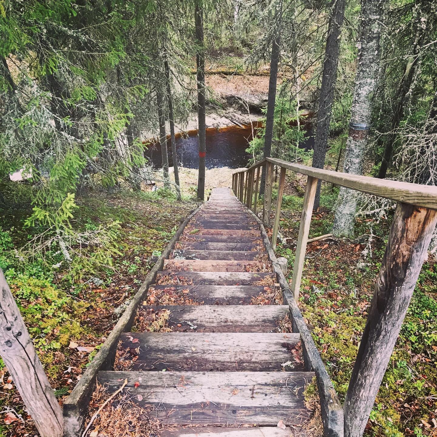 Kuninkaanpolun patikka on janareitti 10 km Vuorenmaan hiihtokeskuksen ja Soinin keskustan välillä. Tosin tällä hetkellä suositeltavinta on patikoida reitti hieman toisella tavalla edestakaisin, jolloin kilometrejä tulee yhteensä n. 14. (Tästa