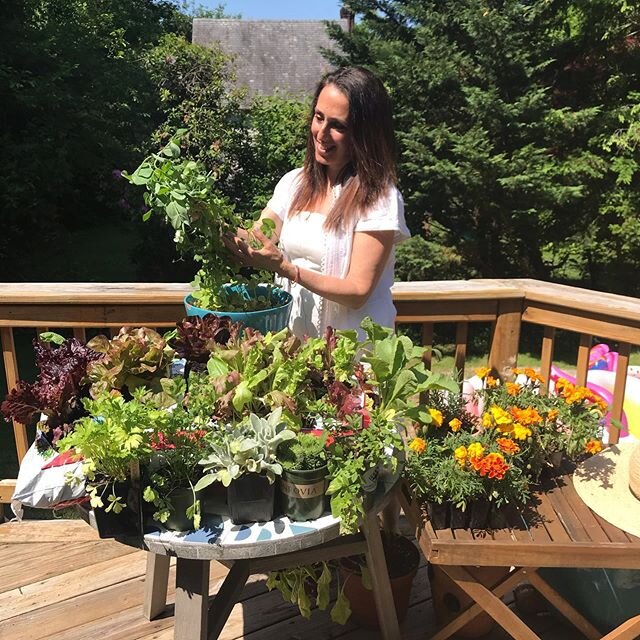 In my family garden classes this week, one theme is lettuce all be friends☀️💚 teaching about varieties, companion plants (how different plants get along and help each other grow) and being together in love, kindness and community. I sang a short new