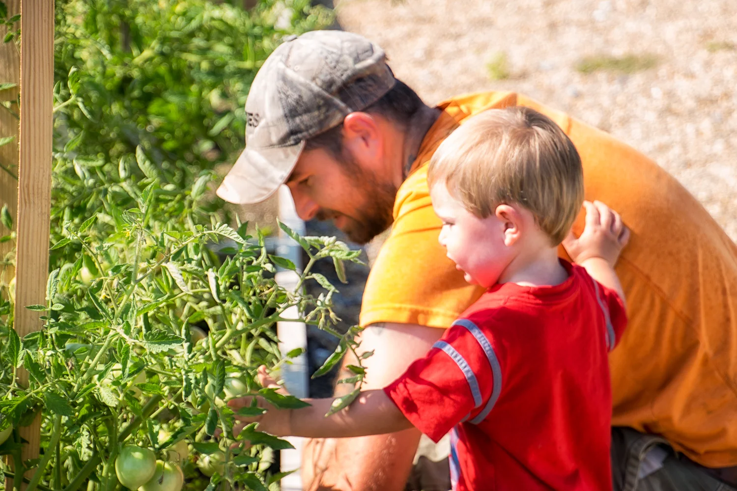 Community Garden--7.jpg