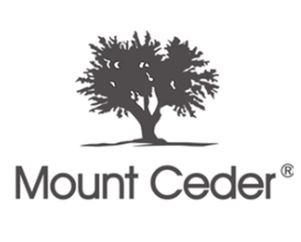 Mount.JPG