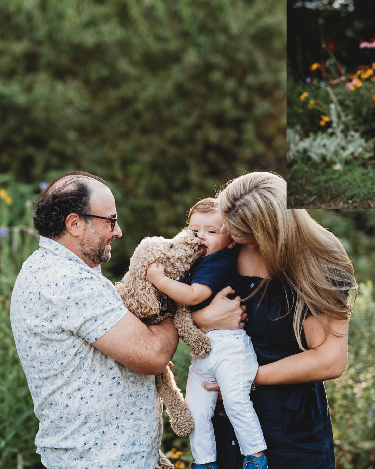Family session + doggie kisses = yes, please! 🥰