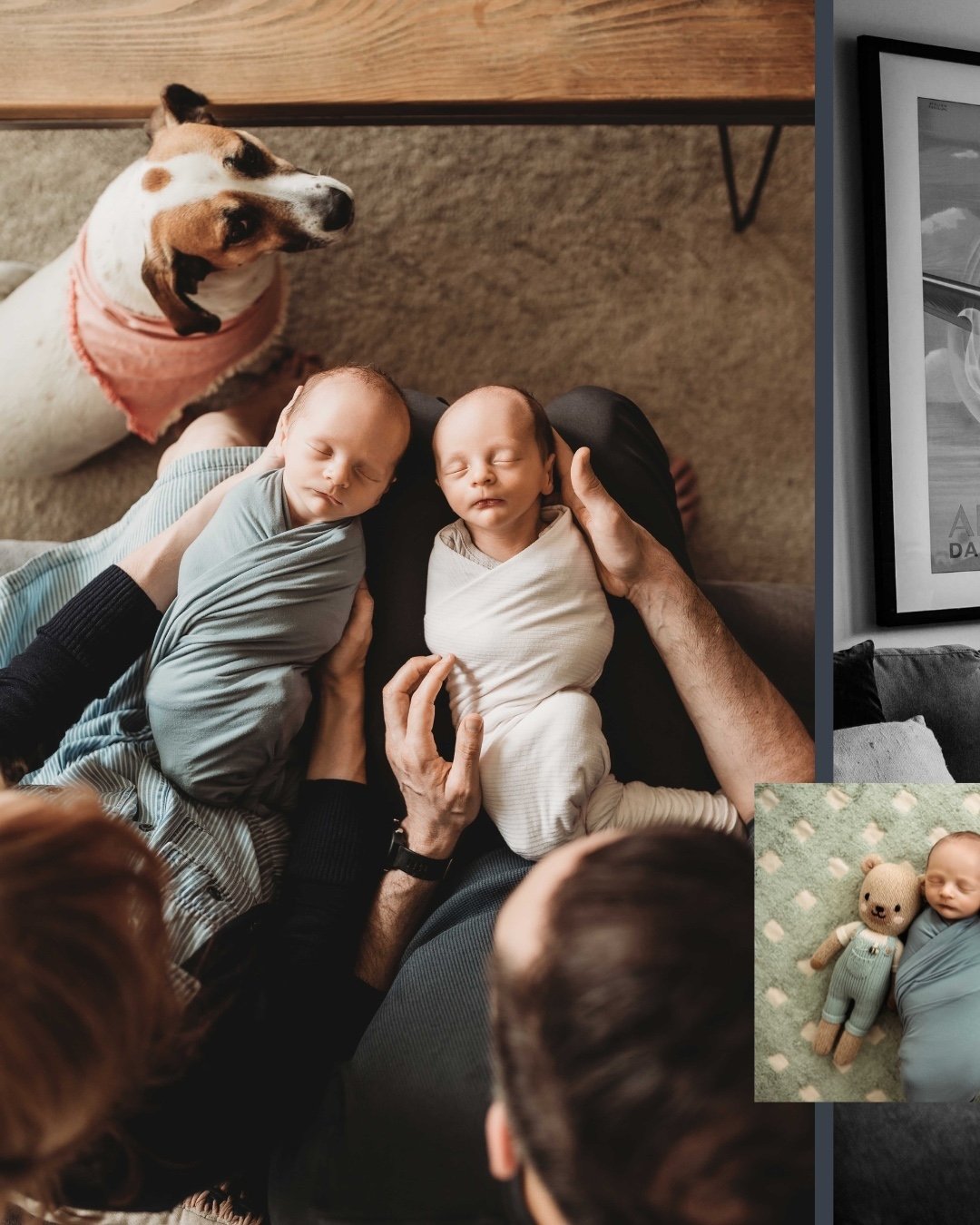 Pinch me, a fabulous at-home twin newborn photography session with an absolutely adorable dog in the mix as well. ⁣
⁣
Yes, yes, yes.⁣
⁣
Whether you have lots of kids or are expecting a first baby, have a singleton or twins, want an in-home or in-stud