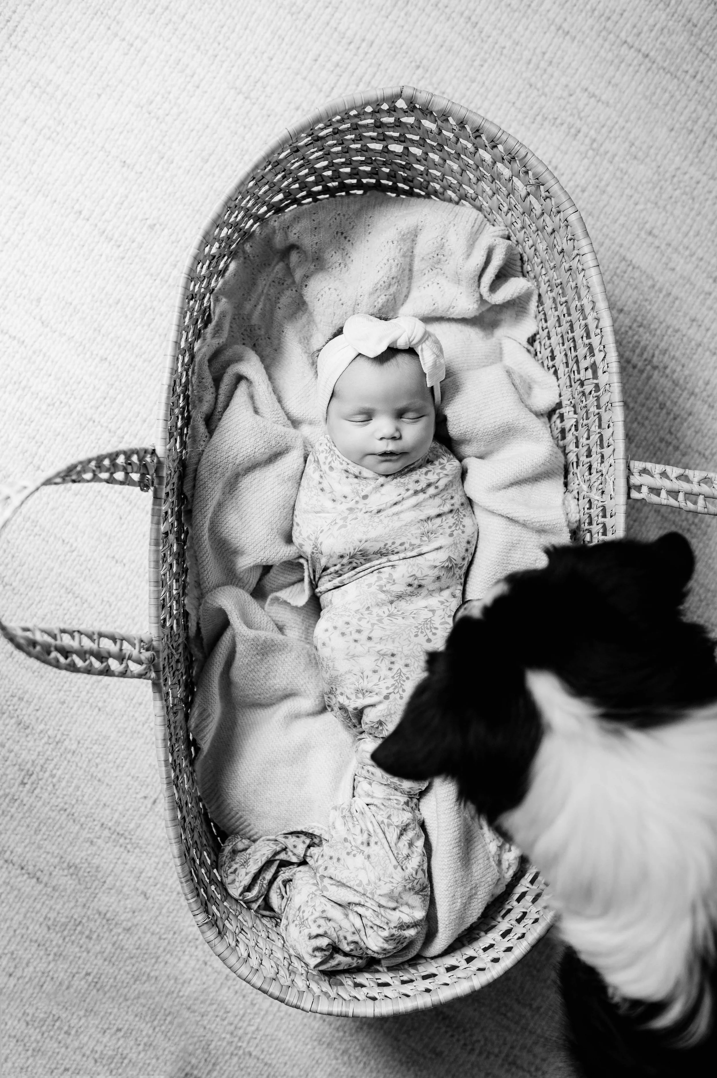 lifestyle-newborn-photography-fairfield-county-ct-16.jpg