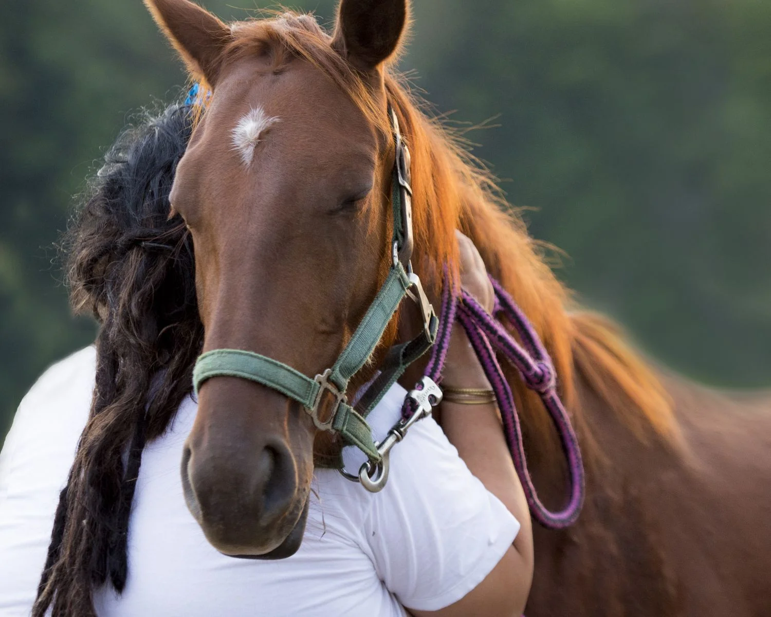 Catherine Landry with 'Red', rescued from slaughter