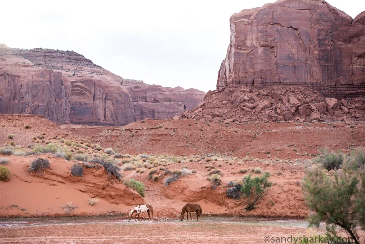 Monument Valley , Arizona