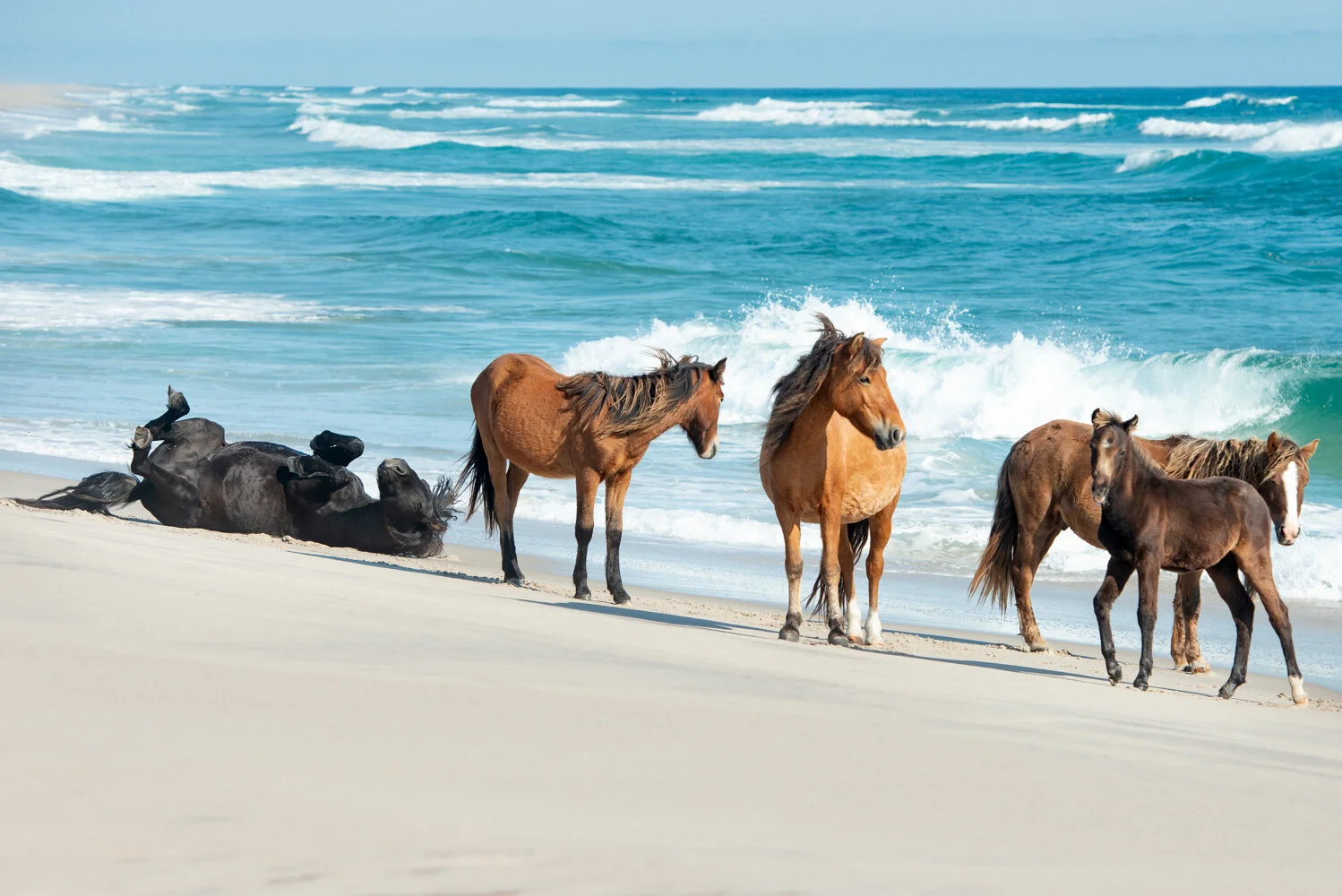 sable fun at the beach  (1 of 1).JPG