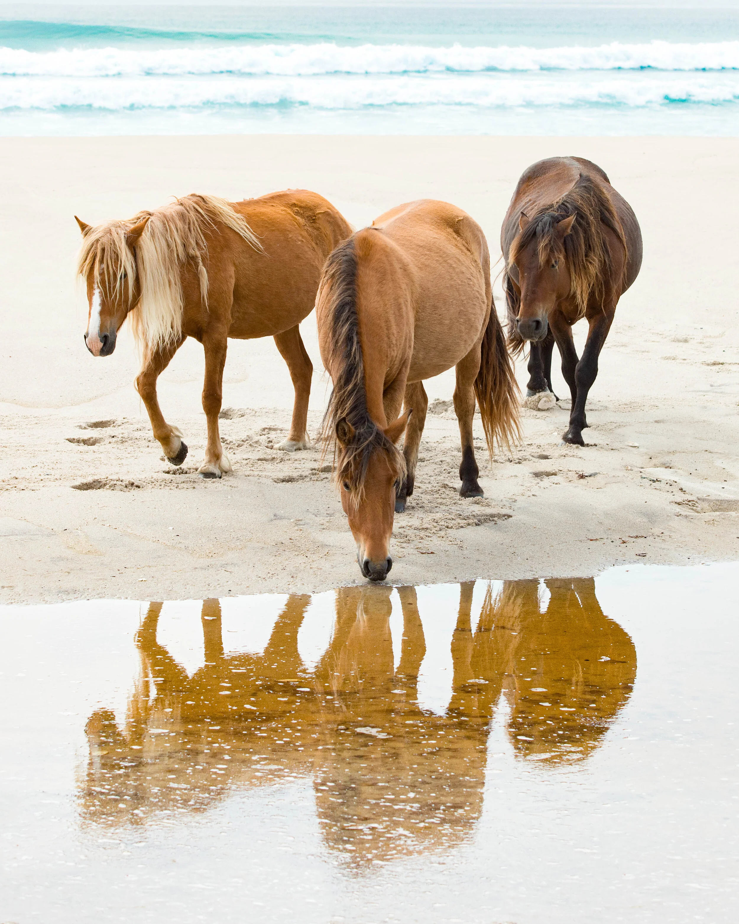 sable trio reflection  (1 of 1).JPG