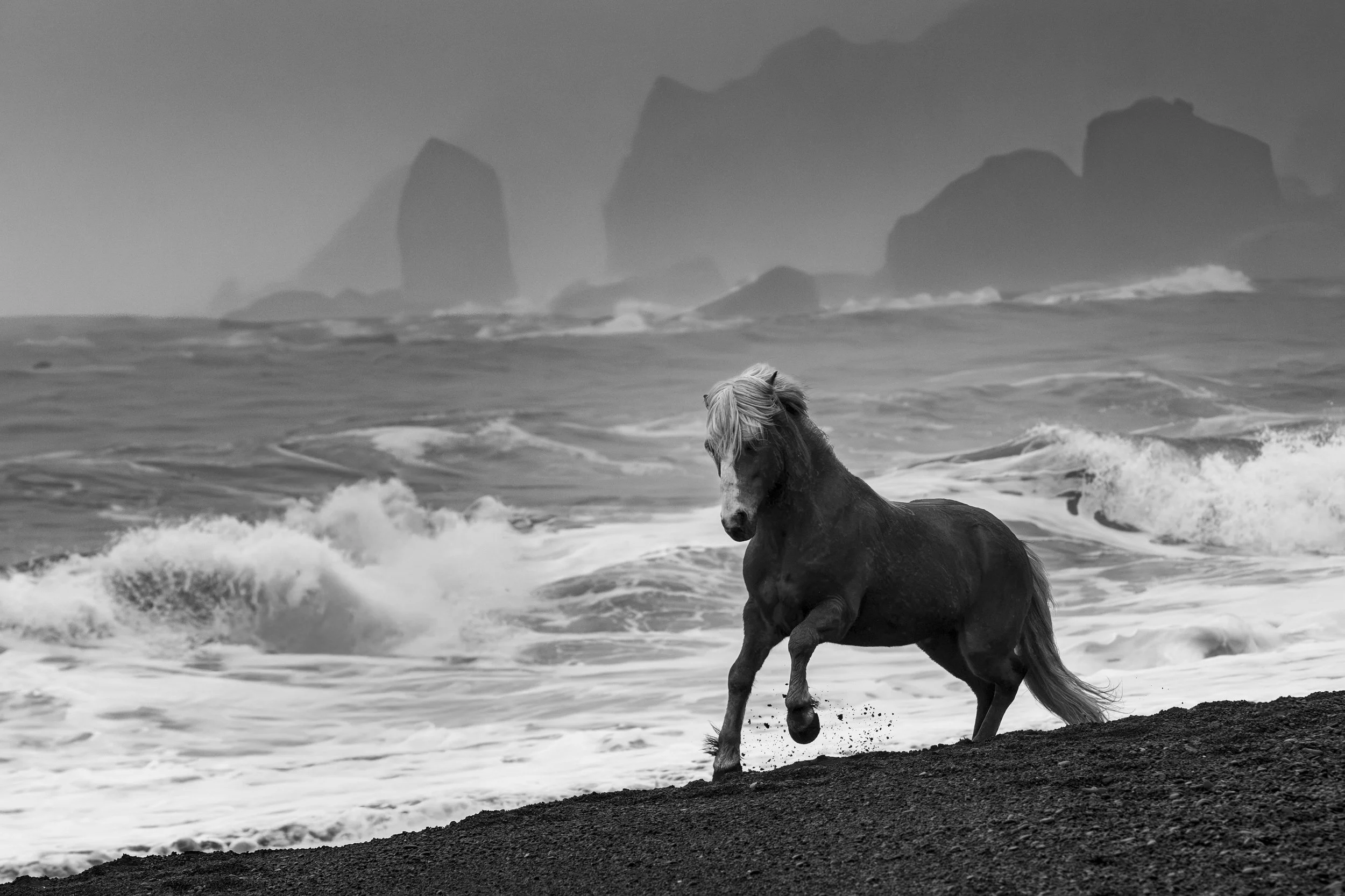 Drama by the Sea_.jpg
