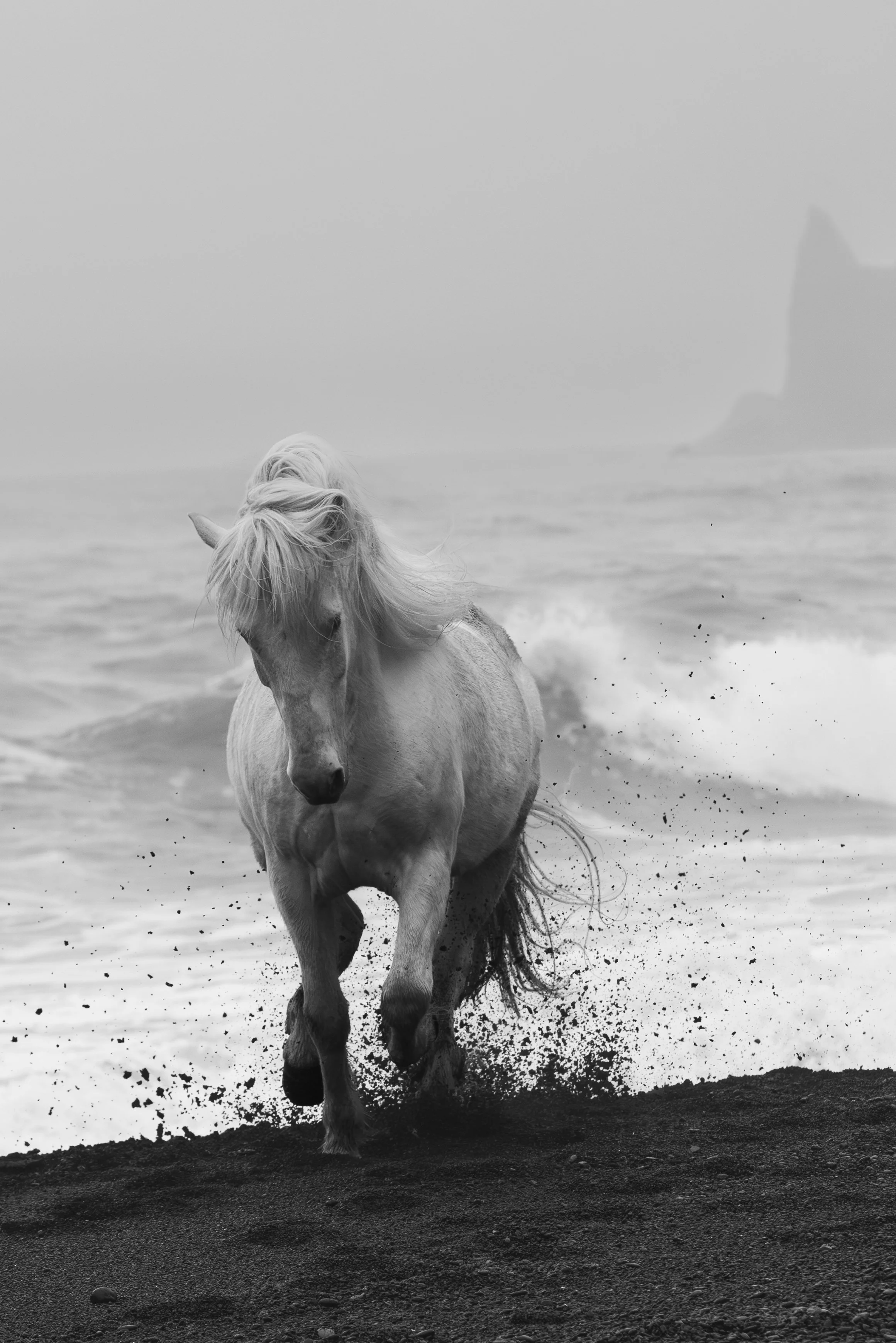 Iceland Majesty.jpg