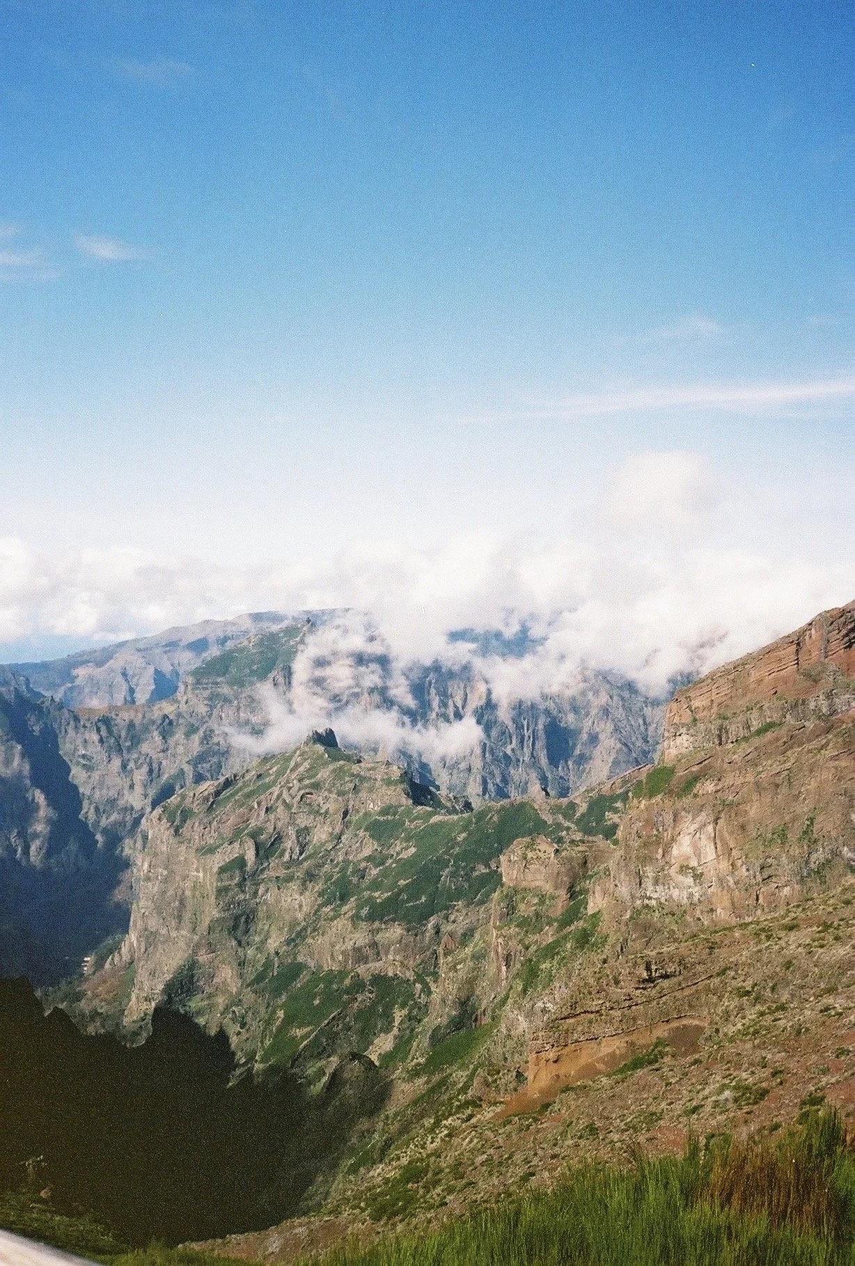 IMG_9709.jpeg