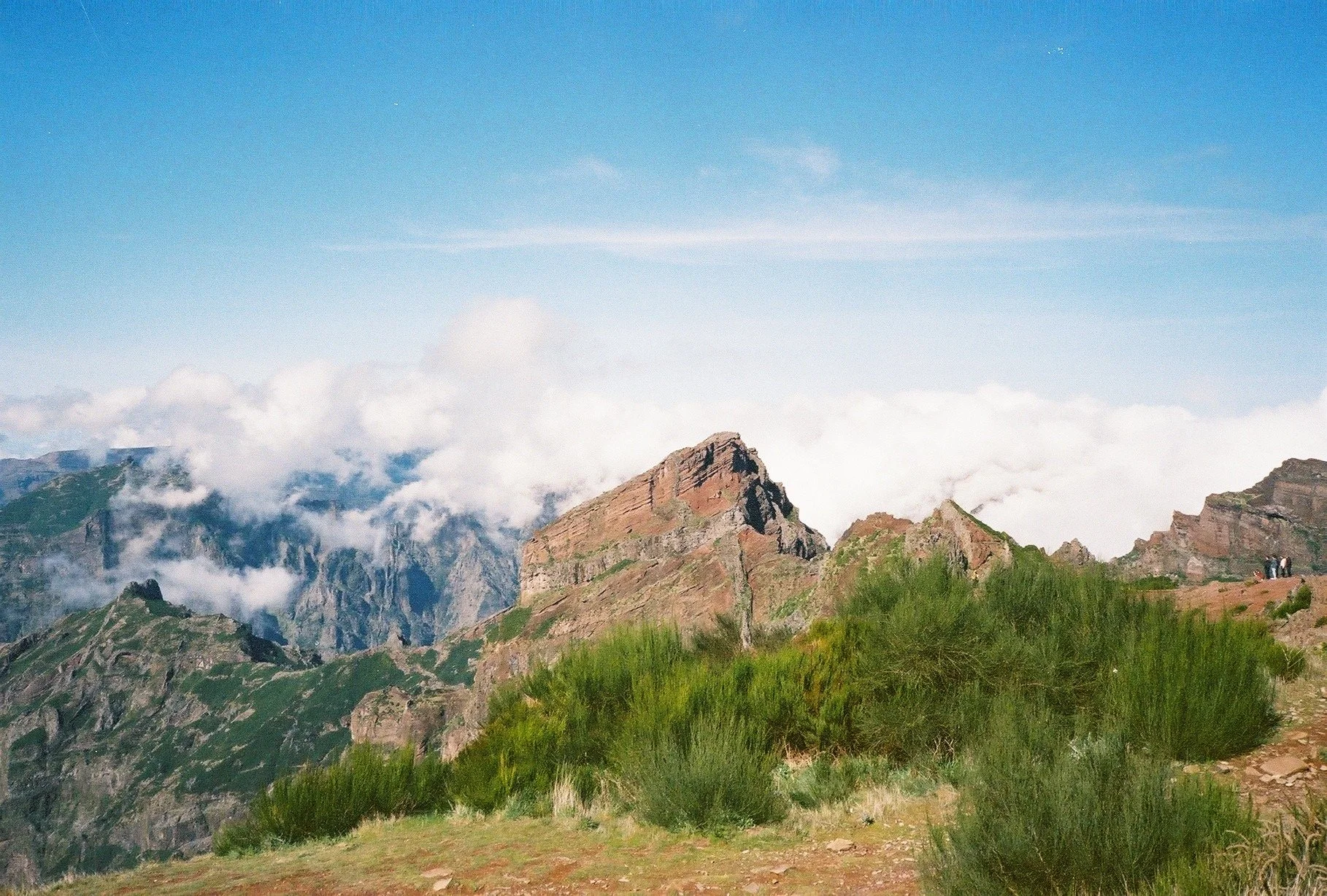 IMG_9708.jpeg