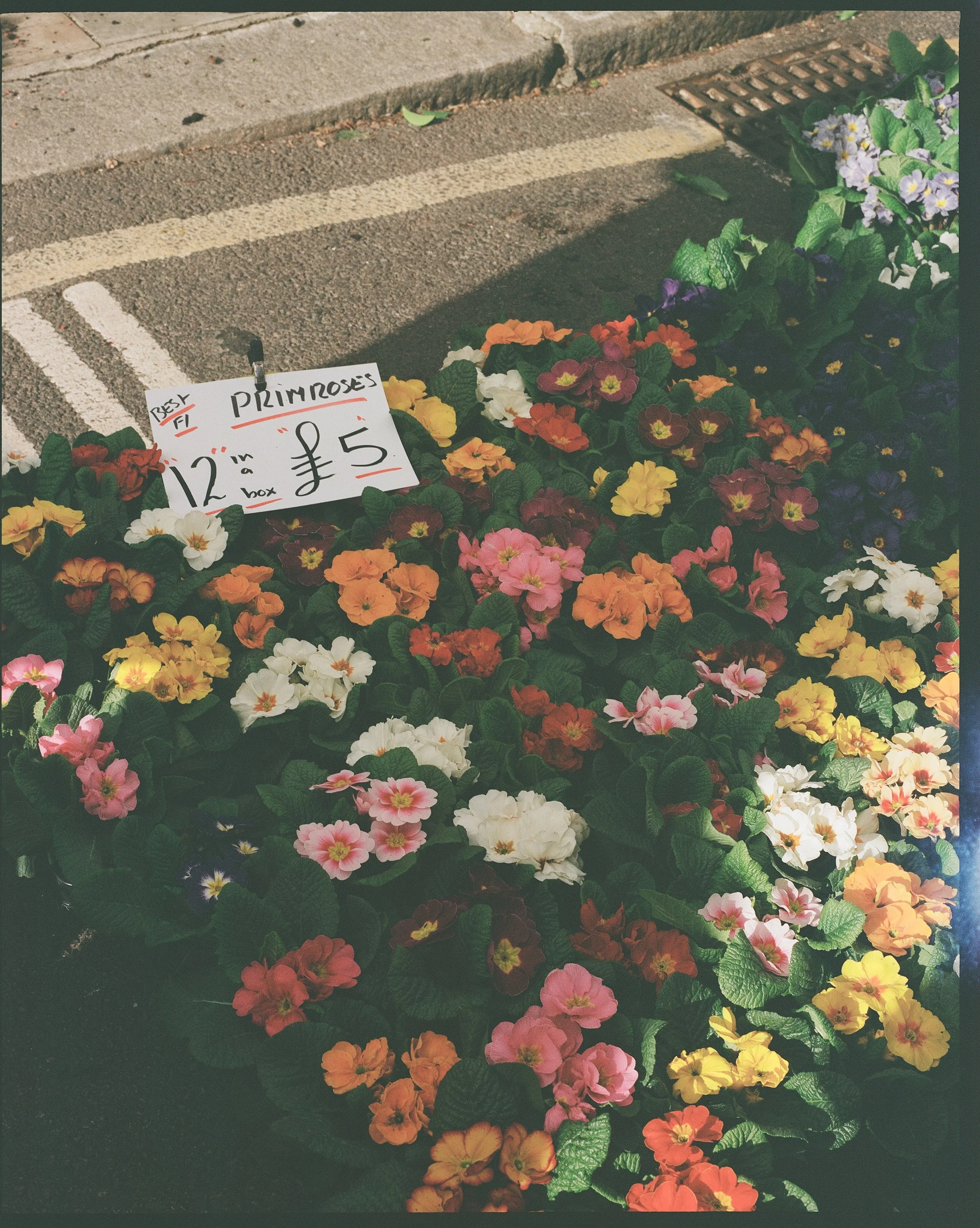 IMG_4645.jpeg