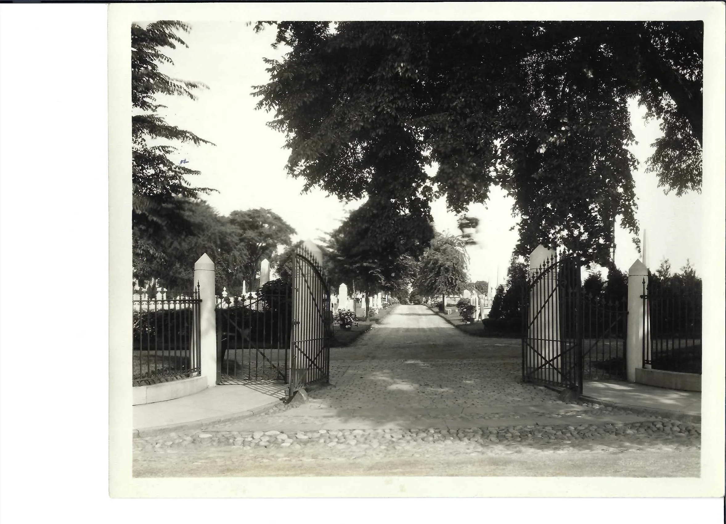 History — Newport Island Cemetery