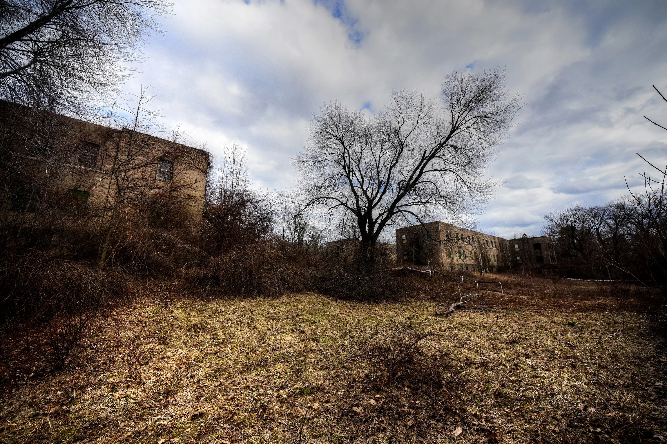 DSC_0788.jpg