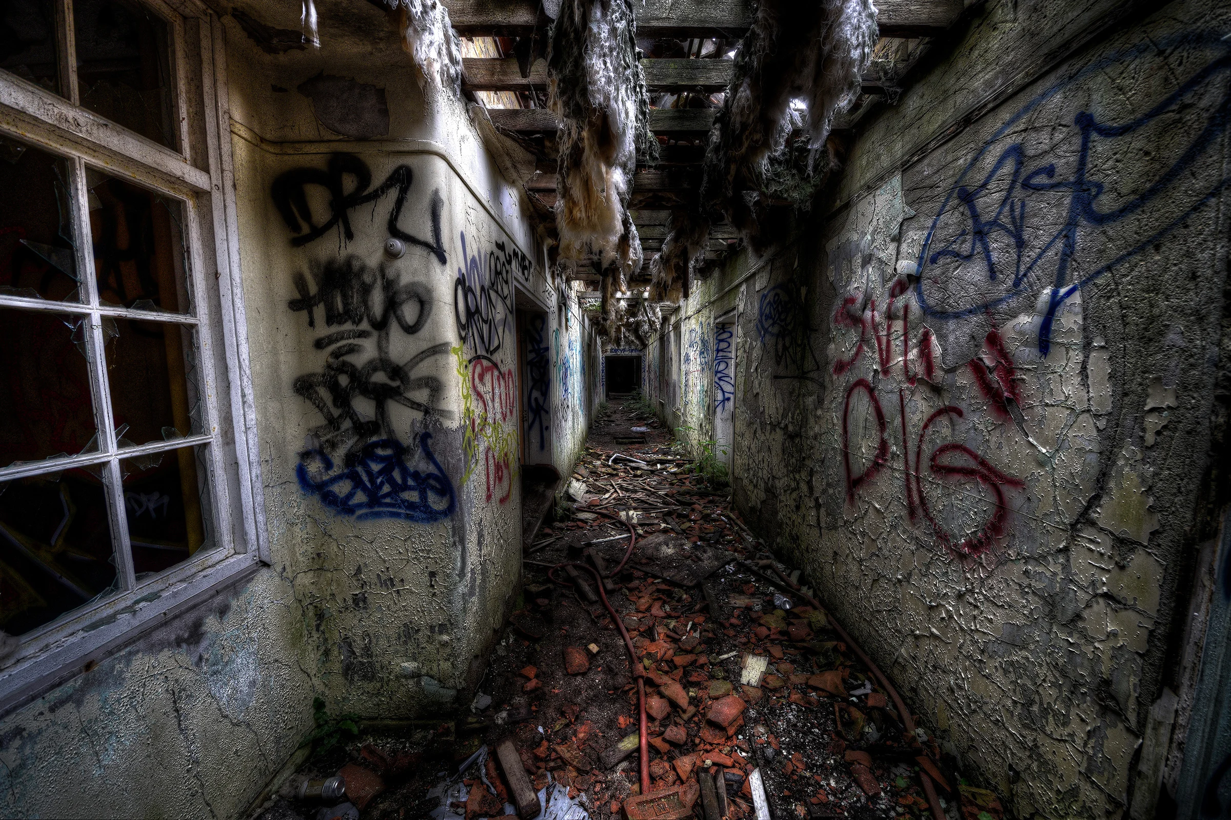 DSC_0865_6_7Enhancer.jpg