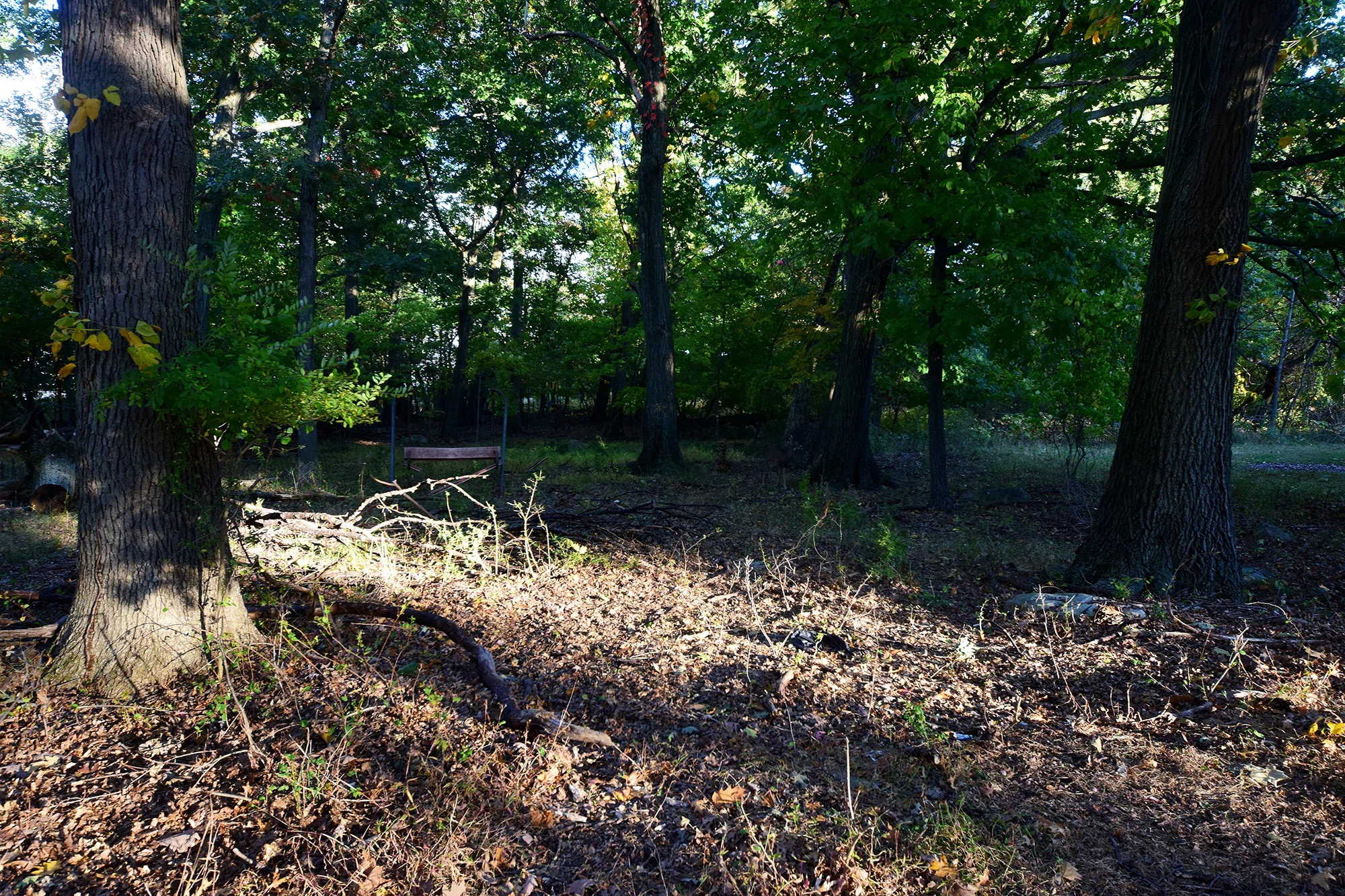 DSC_0008.jpg