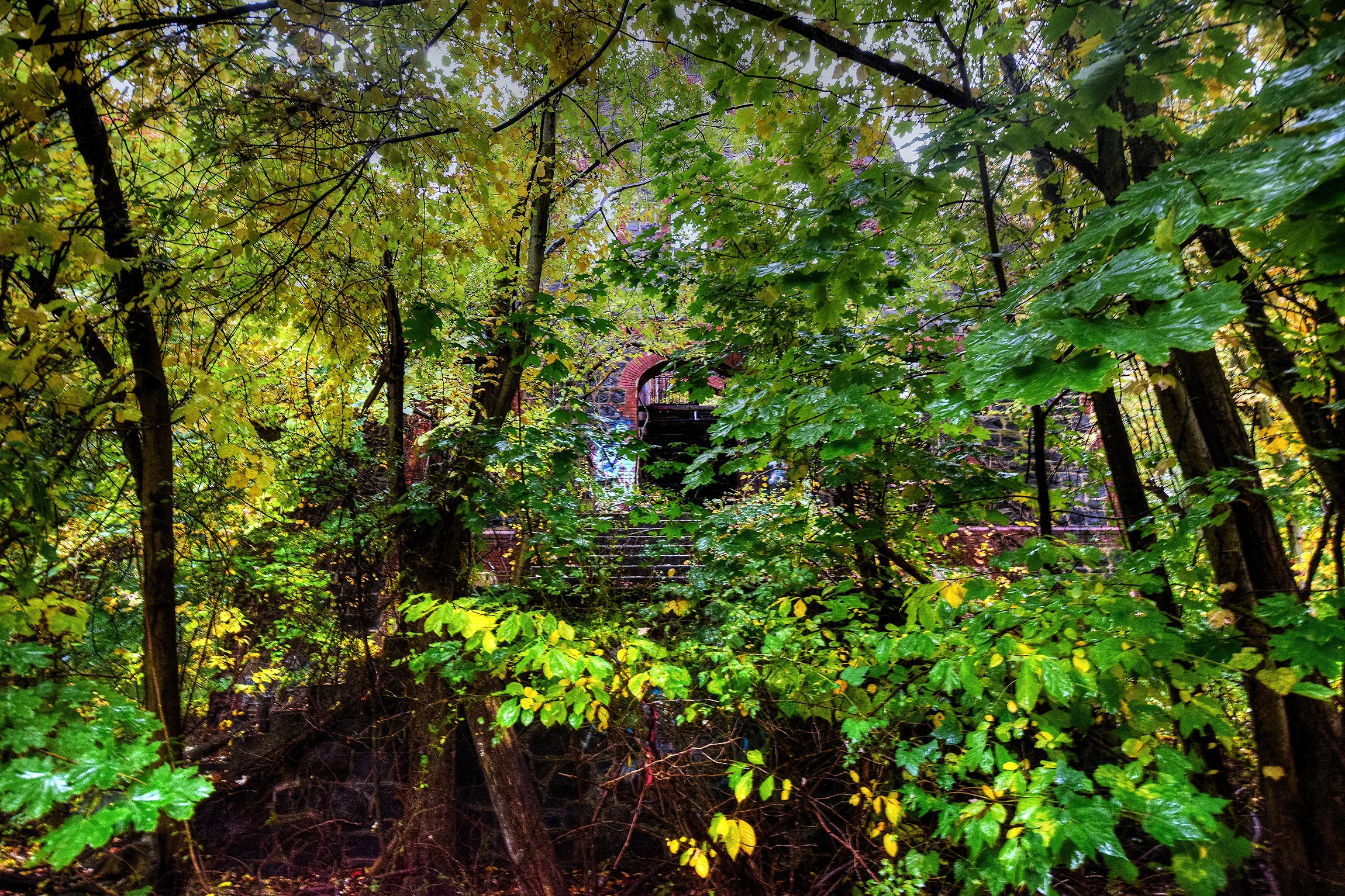 DSC_0582.jpg