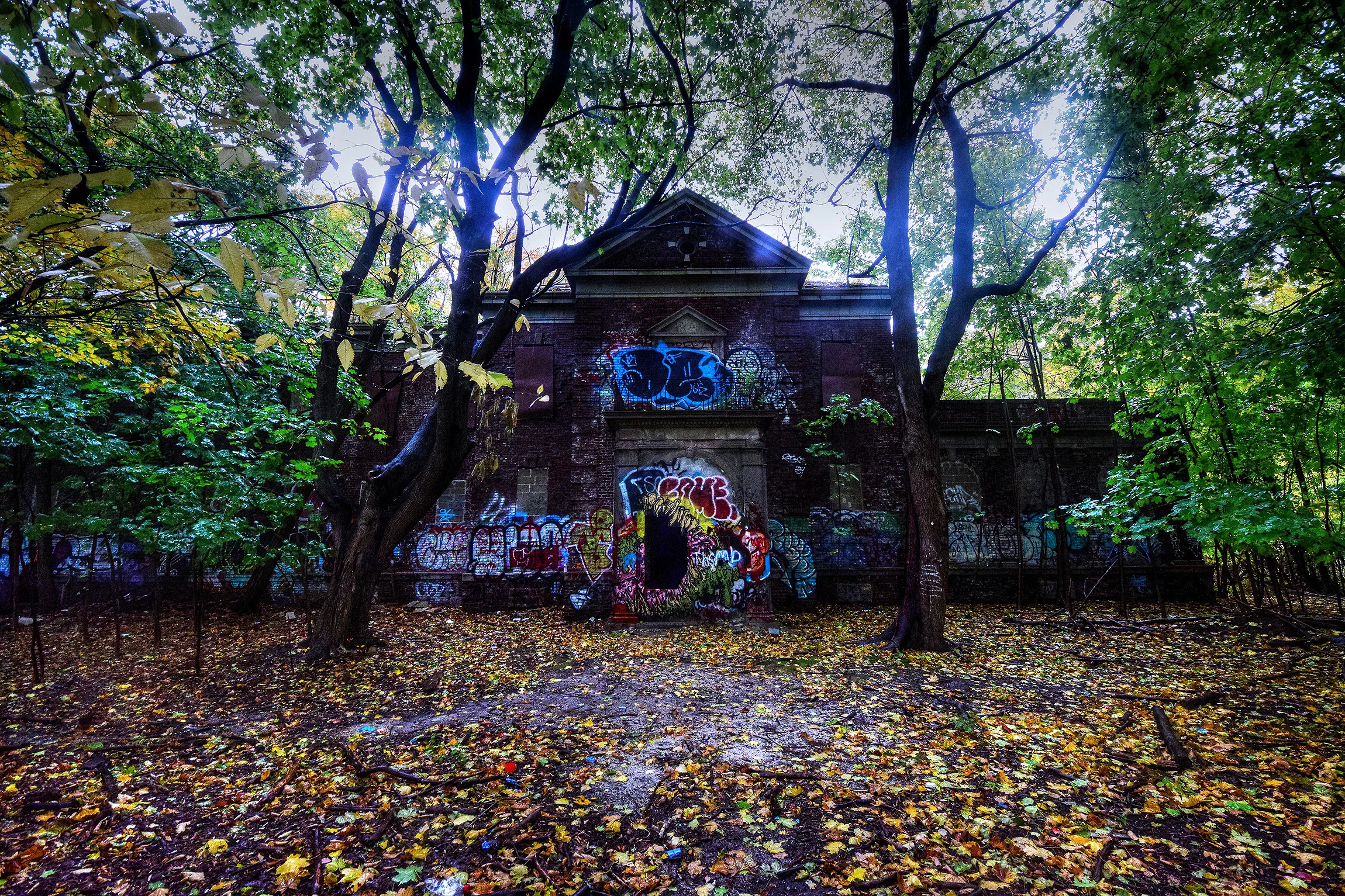 DSC_0615.jpg