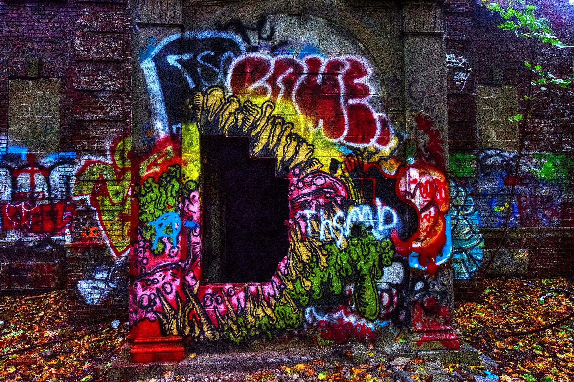 DSC_0619.jpg