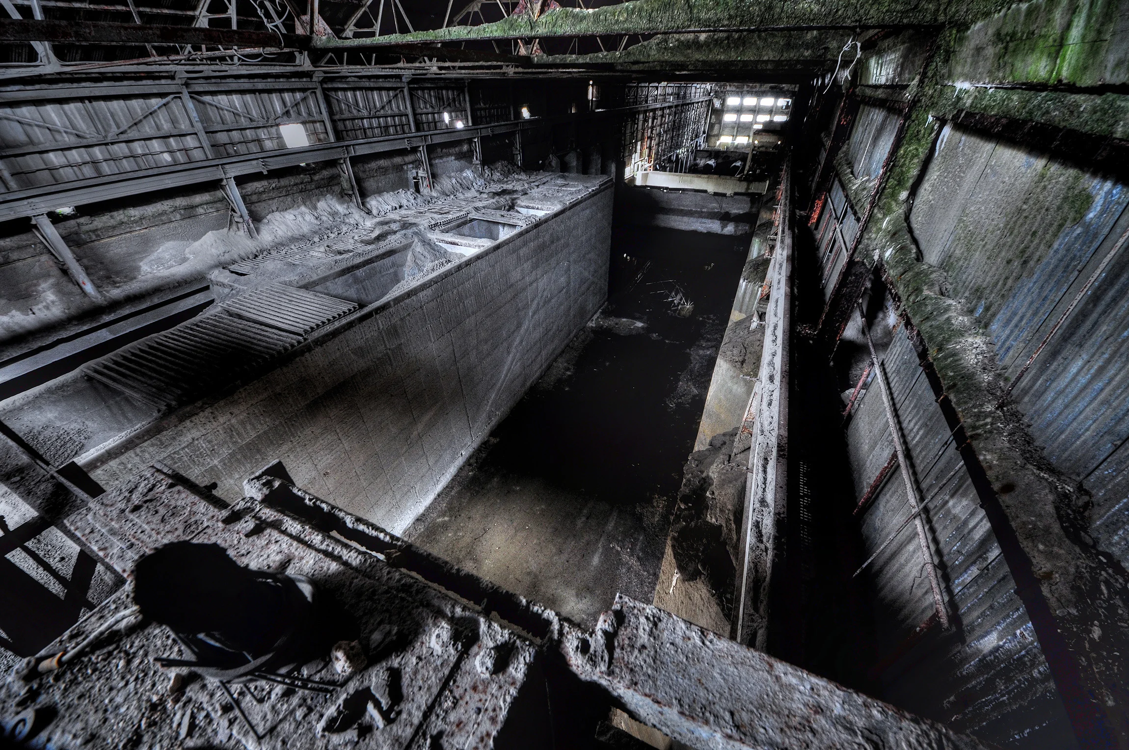DSC_0442_Enhancer.jpg