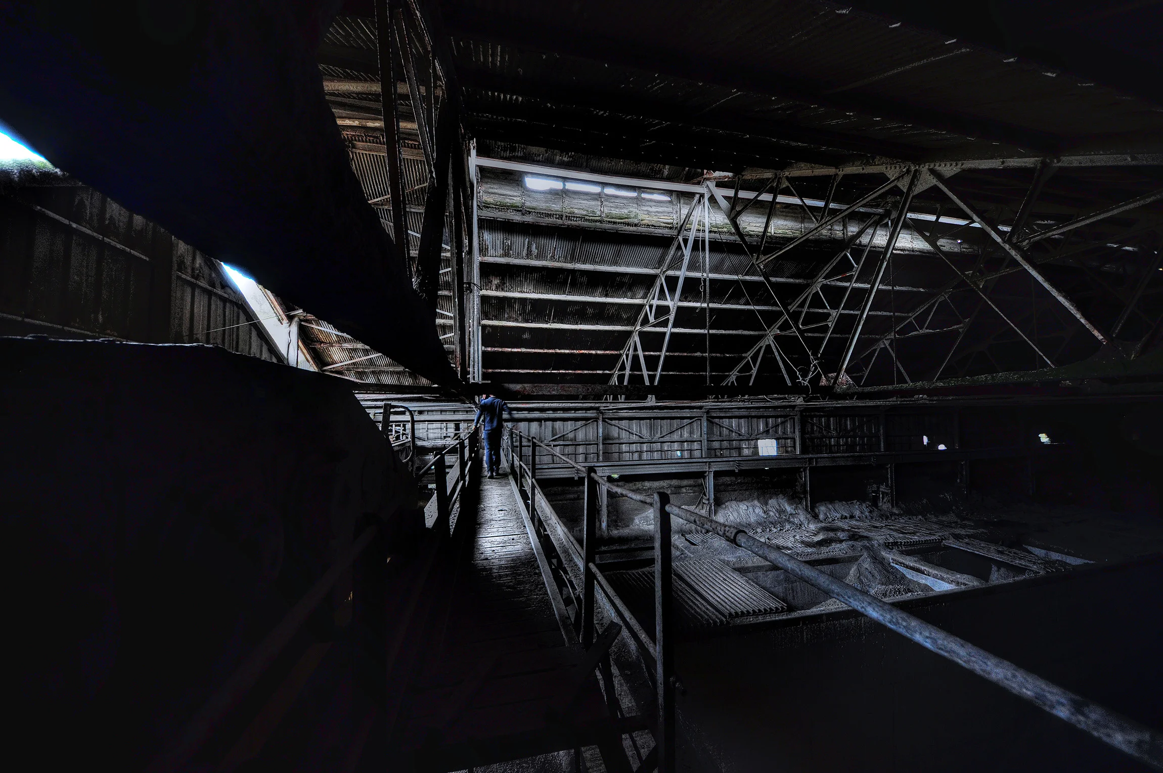 DSC_0448_Enhancer.jpg